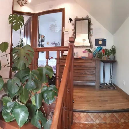 Le Quatuor Appartement Berck